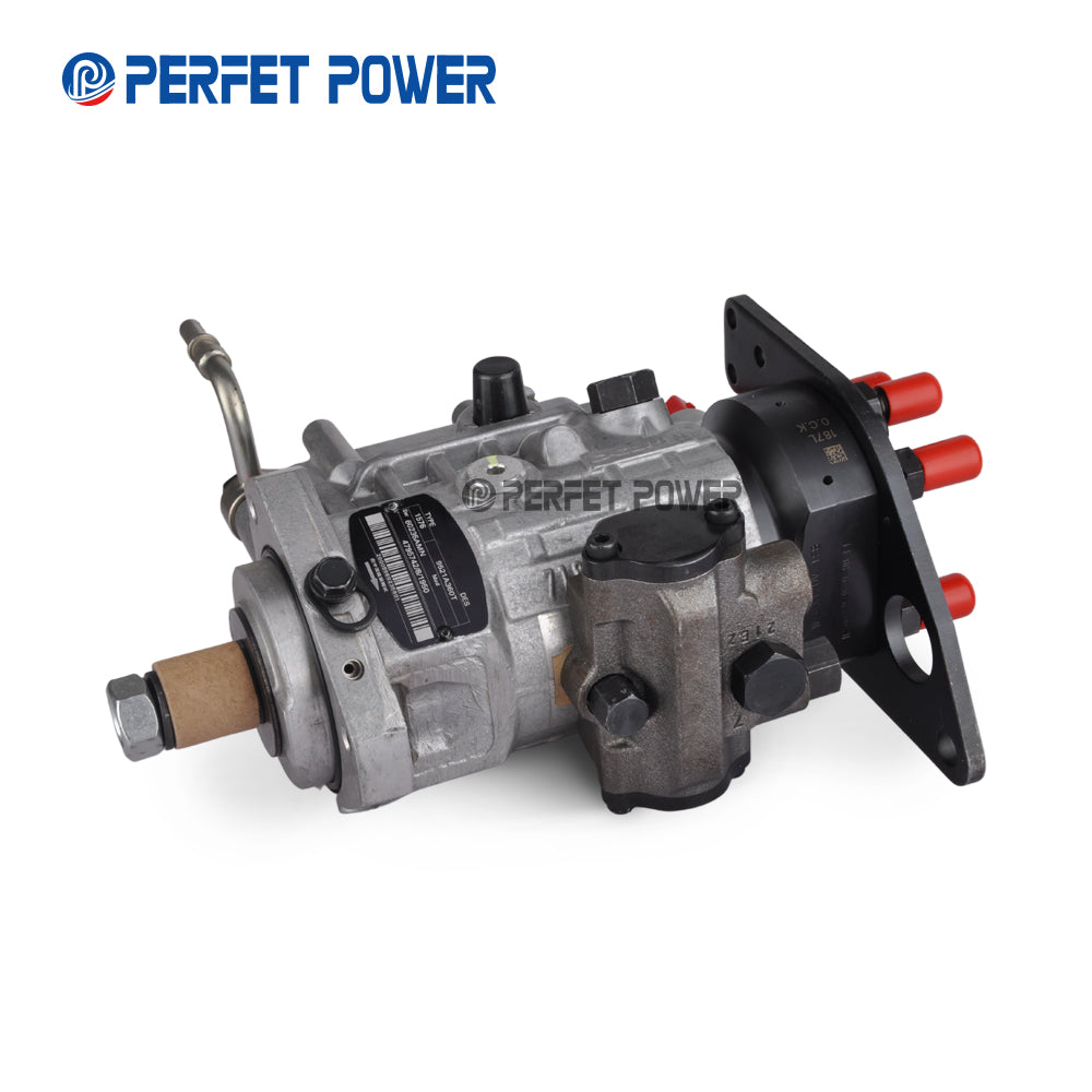 China made new DP210 DP310 diesel fuel pump 9521A360T