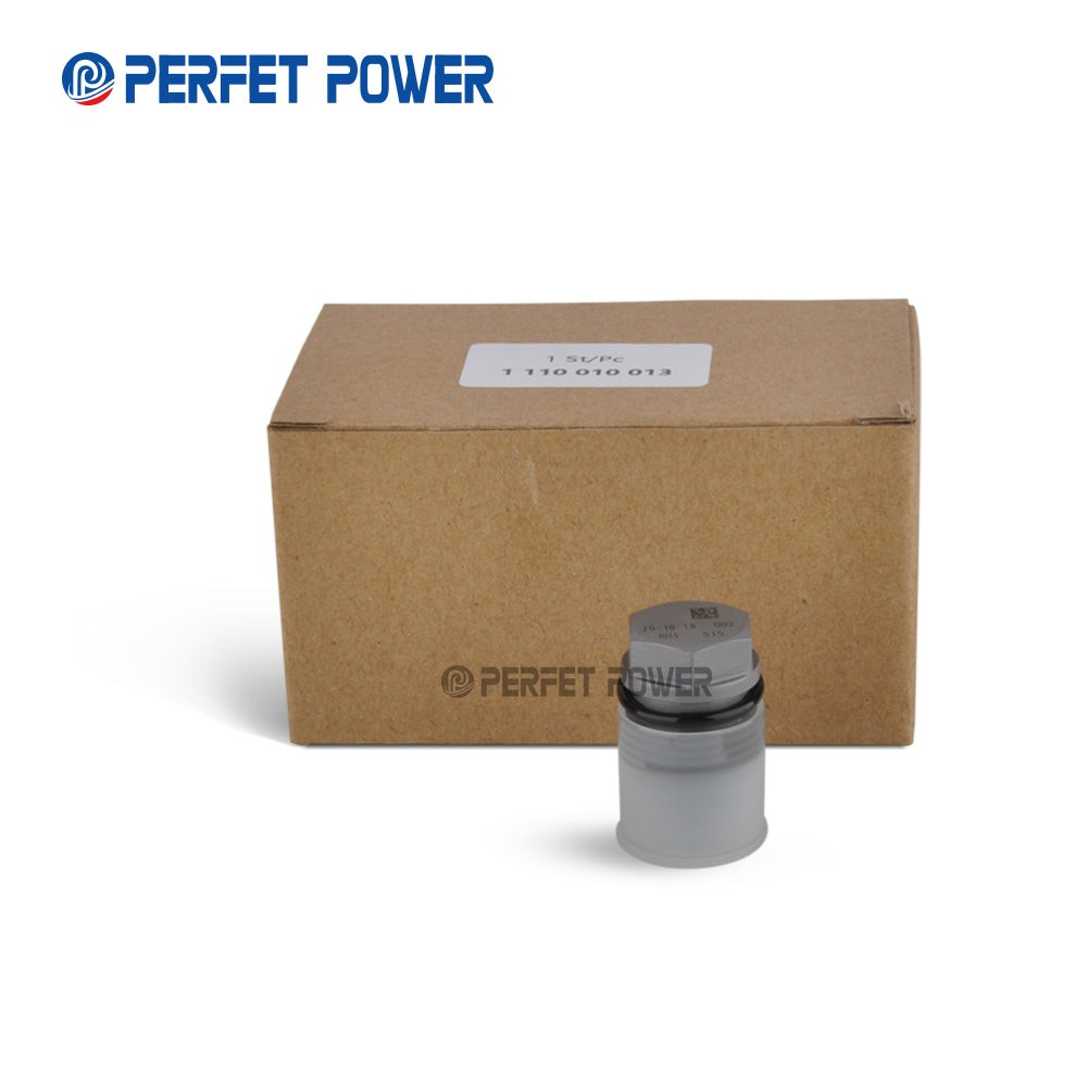 China Made New Common Rail  Pressure Relief Valve Limit Valve 11100010013