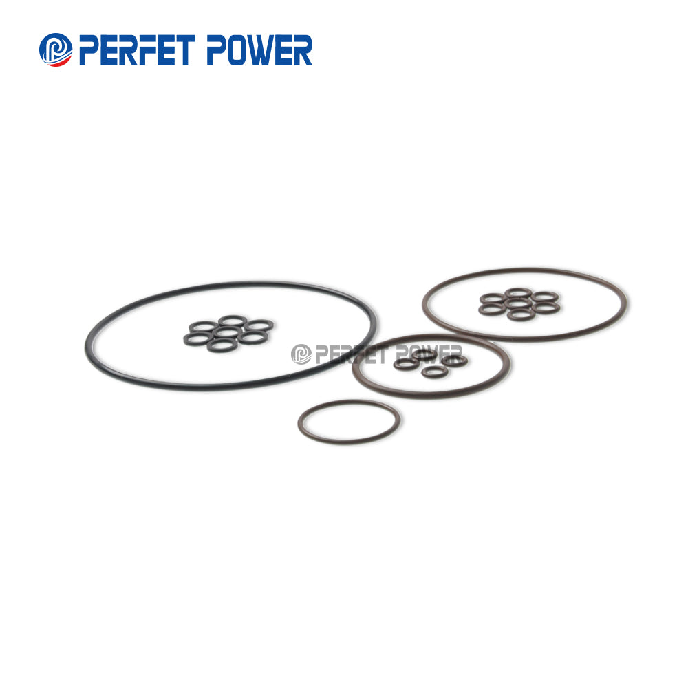 Common Rail Fuel injector Actuating pump internal overhaul kit