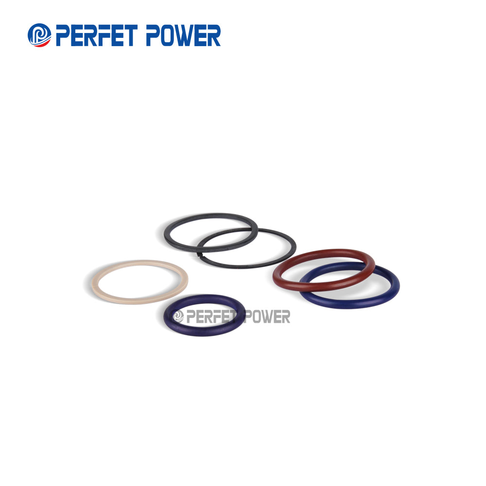 Diesel Fuel Injector Repair Kit for common Rail Systerm