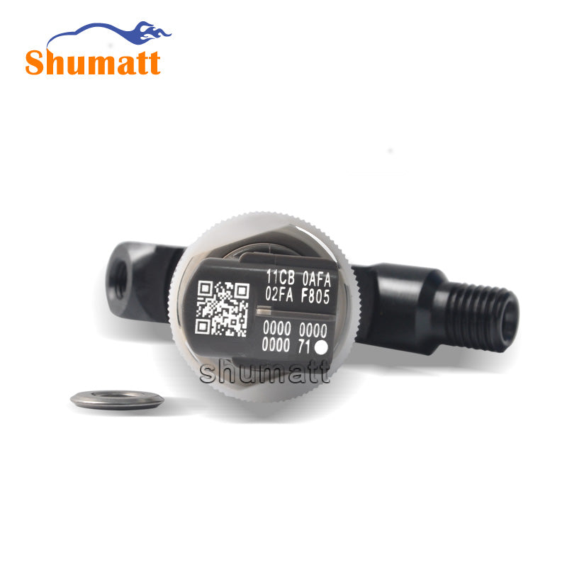 Common Rail fuel Injection 295050-0810 295050-0540 & Injecteur