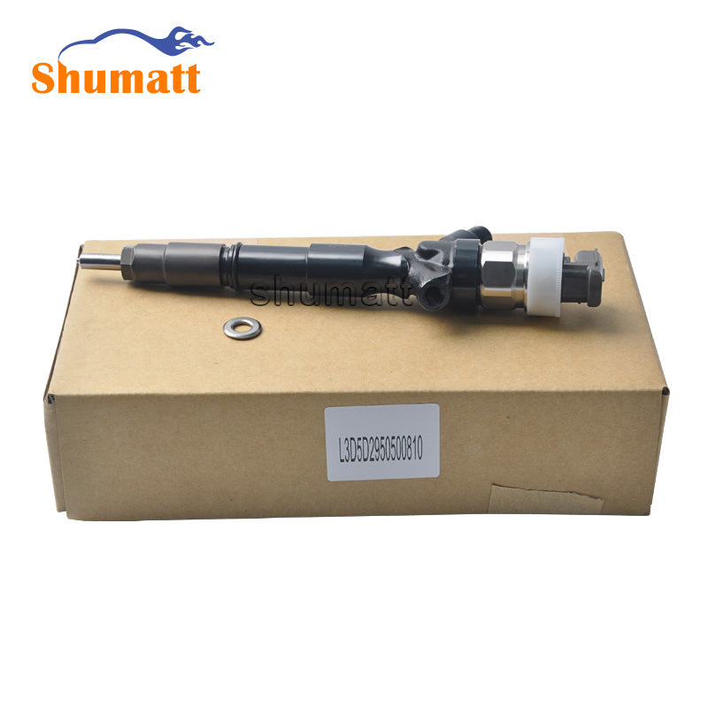 Common Rail fuel Injection 295050-0810 295050-0540 & Injecteur