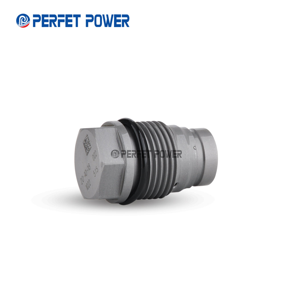 China Made New Common Rail pressure limiting valve 1110010022