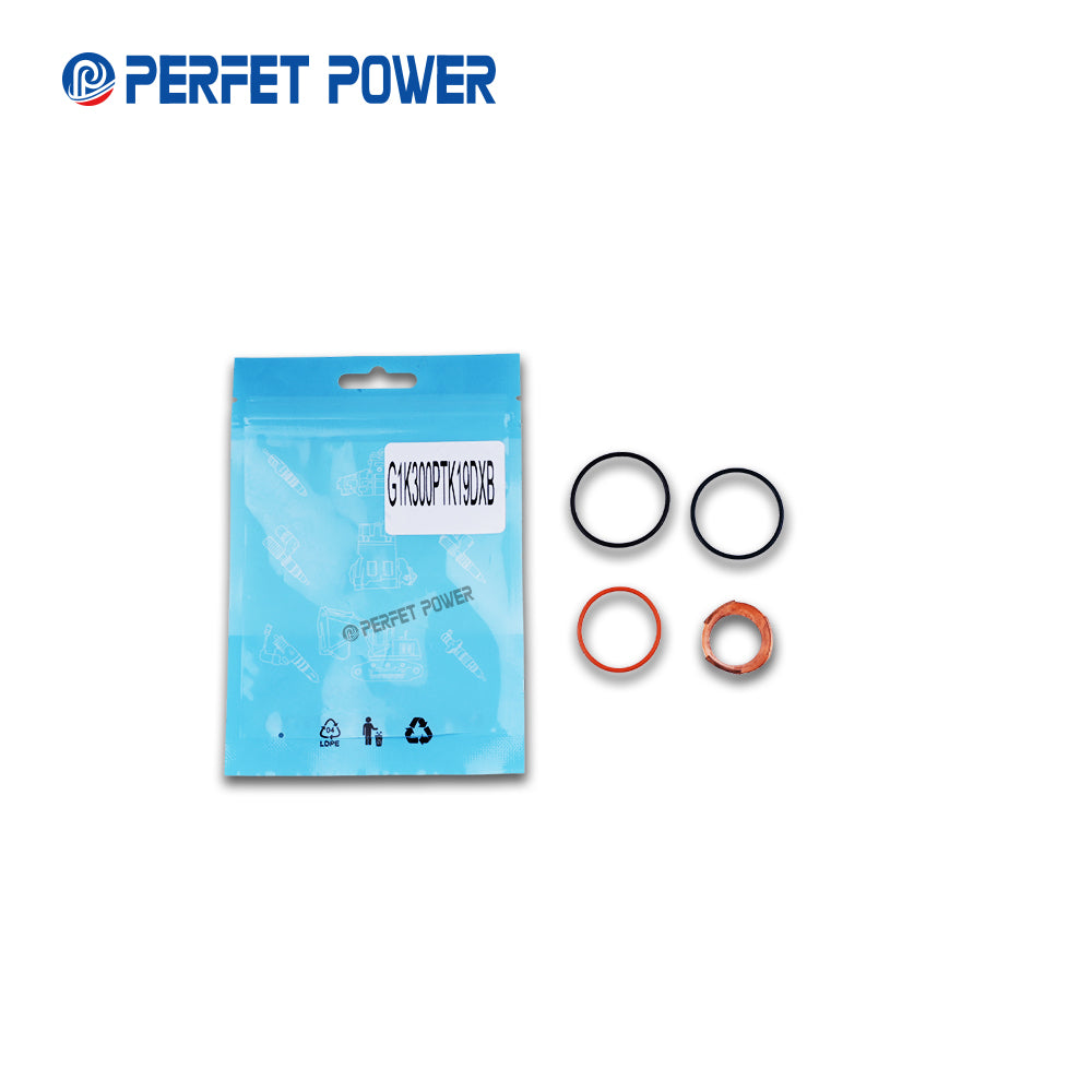 China Made New Common Rail Overhaul Kit PTK19 for Fuel Injector