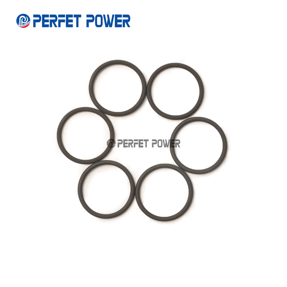China Made New Common Rail injector O-Ring for Fuel Injector