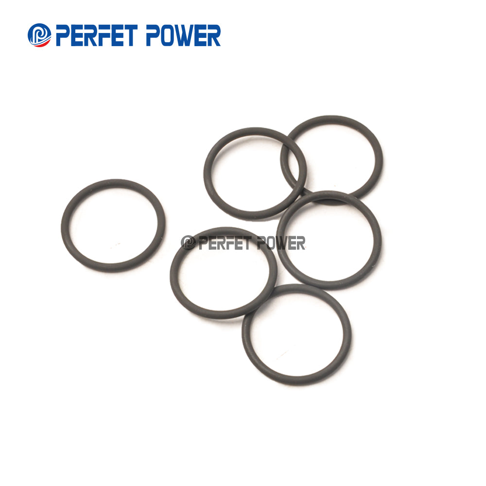 China Made New Common Rail injector O-Ring for Fuel Injector