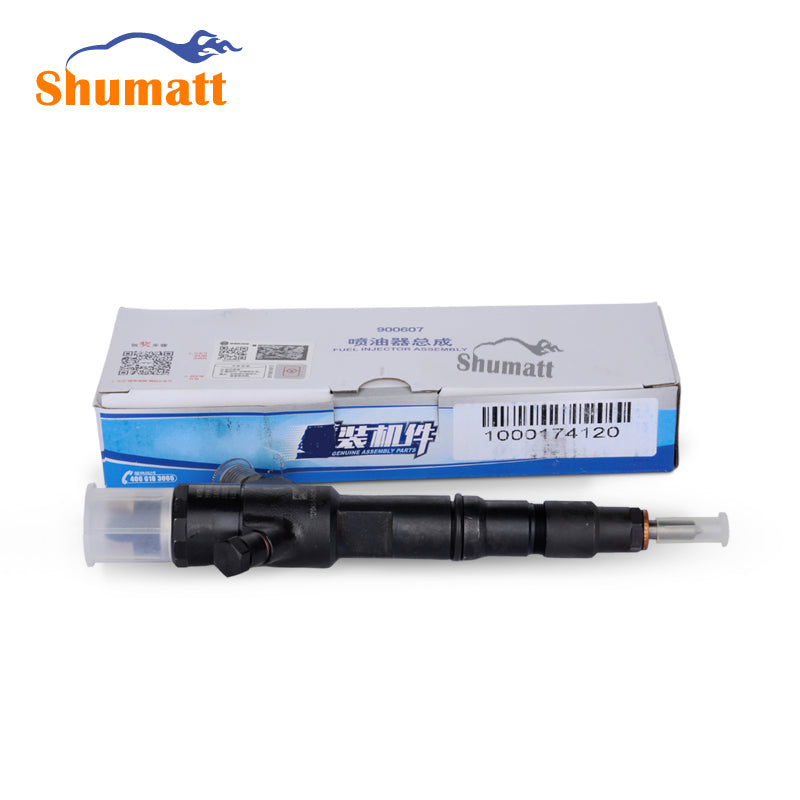 Common Rail Fuel Injector BYC216003