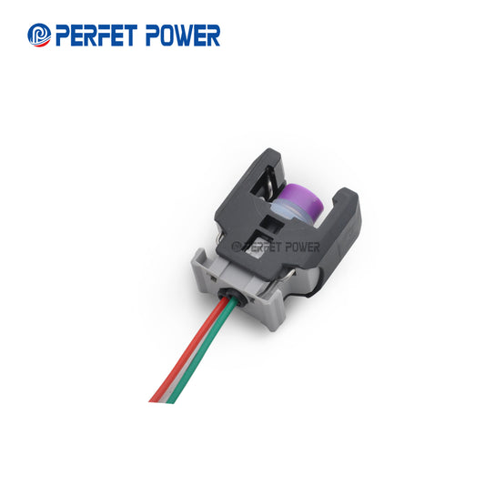 Common Rail Injector Bold Plug & Diesel Injector Spare Part
