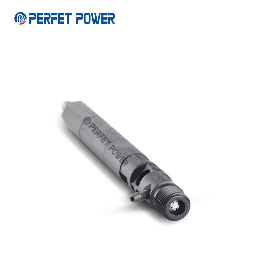 Genuine New Common Rail Injector injektor R04601D& EJBR04601D